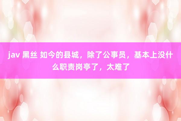 jav 黑丝 如今的县城，除了公事员，基本上没什么职责岗亭了，太难了