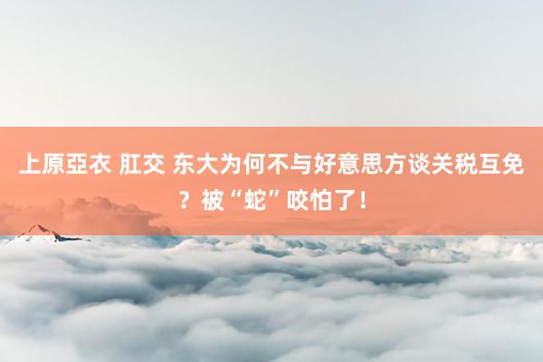 上原亞衣 肛交 东大为何不与好意思方谈关税互免？被“蛇”咬怕了！